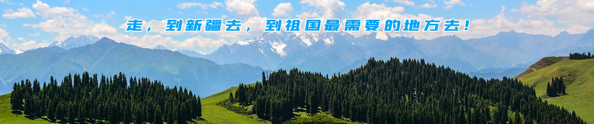 九圣禾控股188bet体育app官网